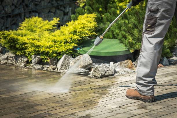 Best Winterizing Services  in Rossville, GA